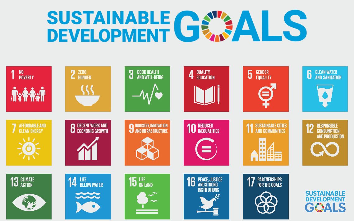 AVK sustainable development goals