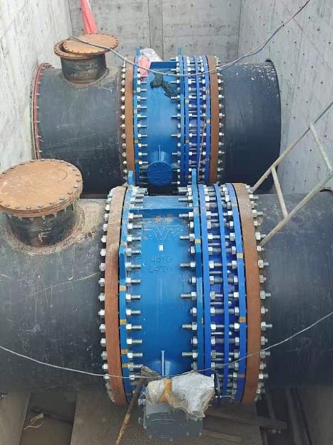 2 butterfly valves