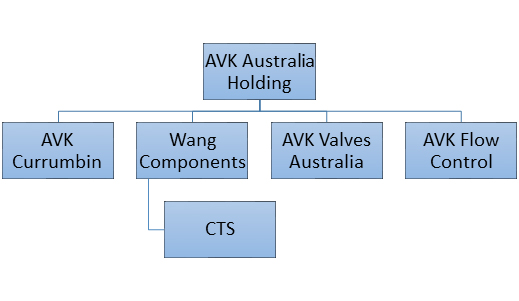 Organisational Chart of Currumbin