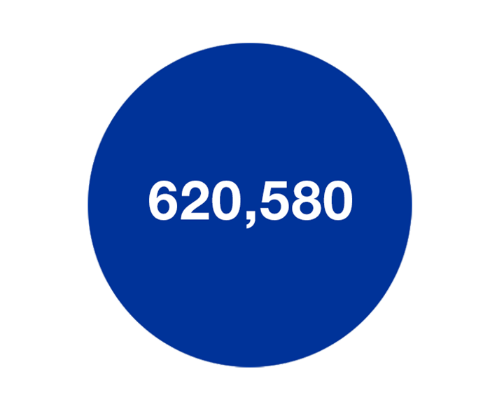 Results for the year 2025