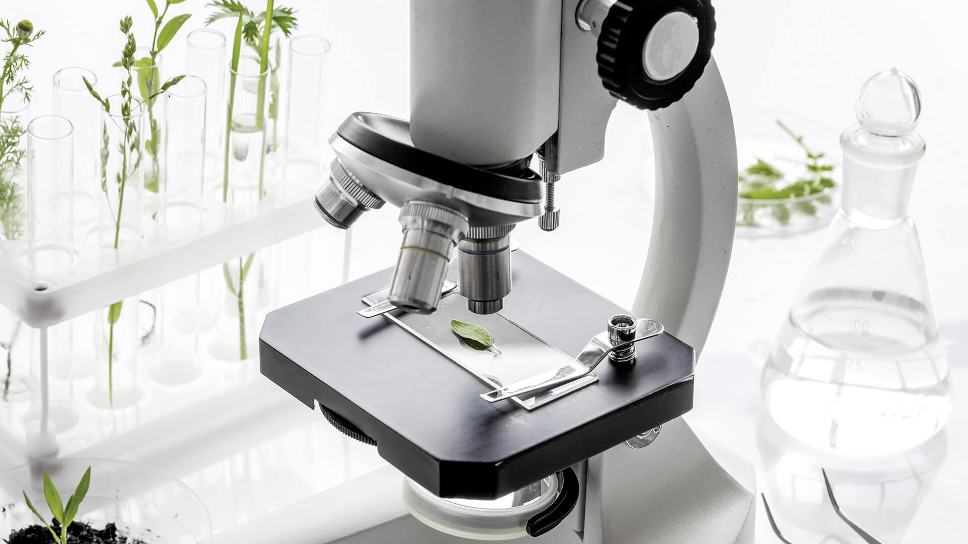 Life Science Segment