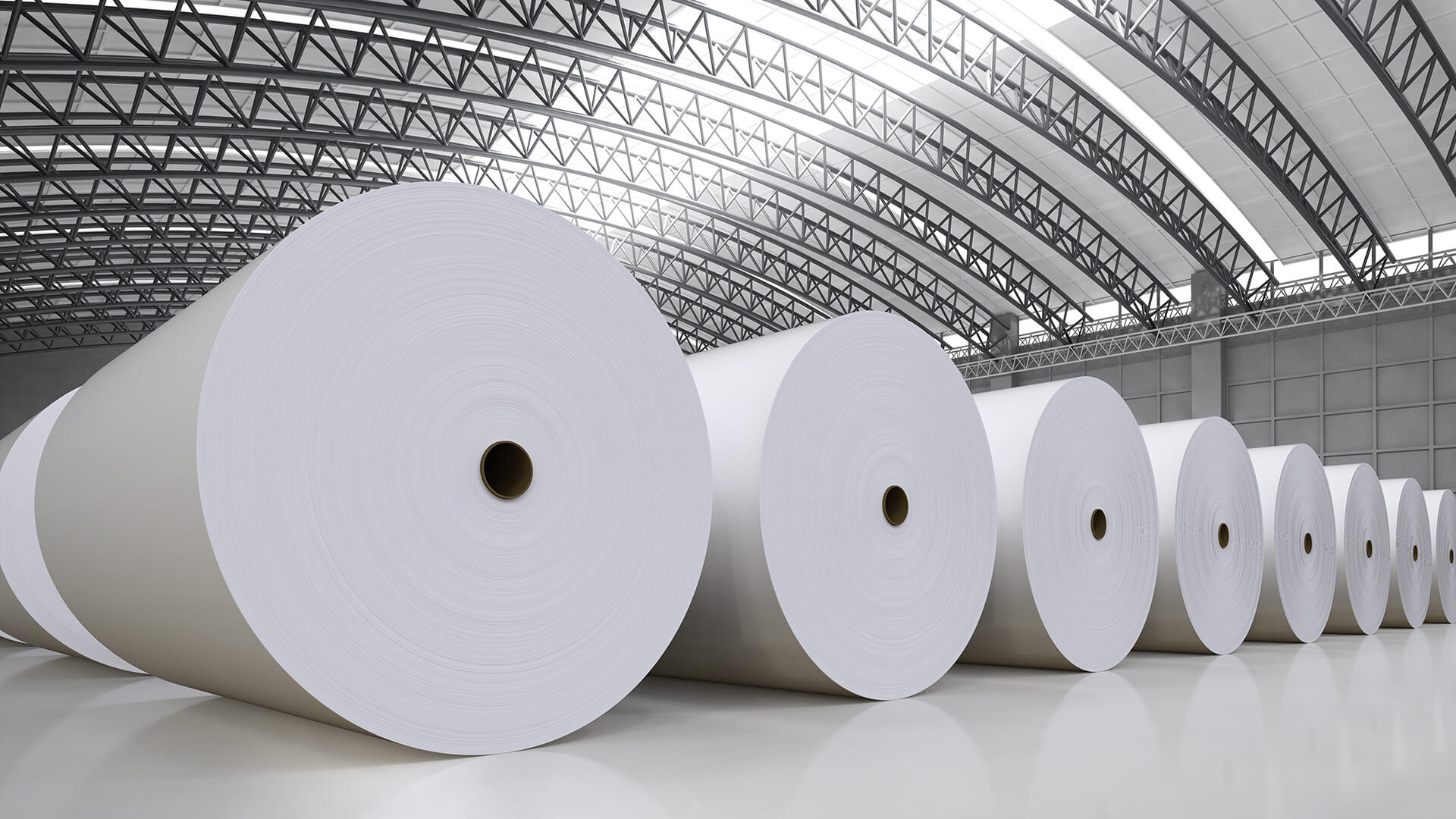 Pulp and Paper Segment