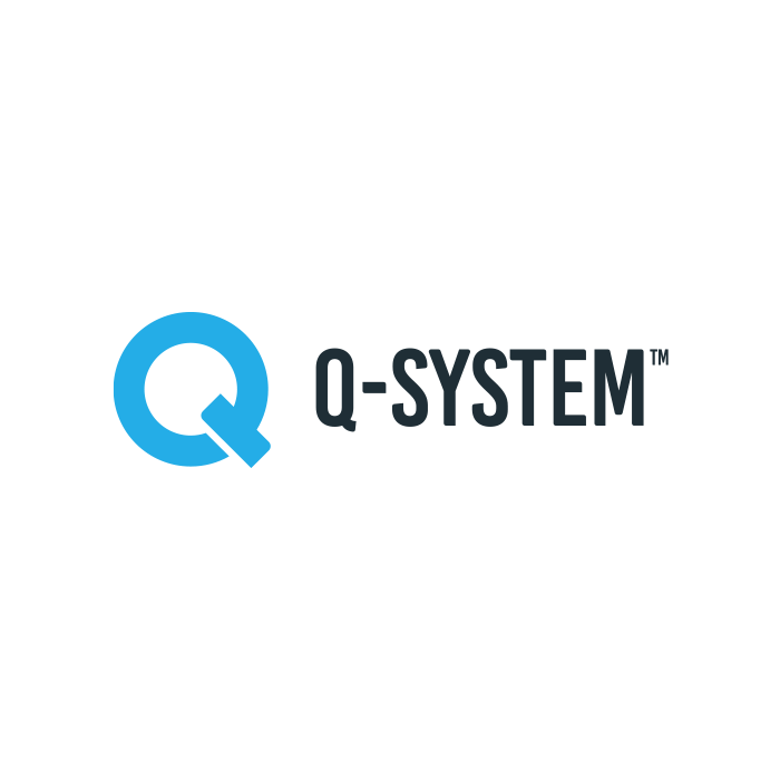 Q-system logo